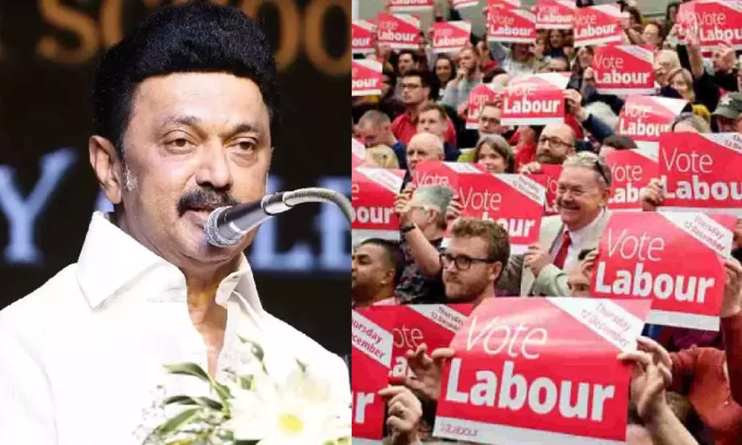 Did Tamil Nadu CM Stalins pet welfare schemes inspire UK Labour Partys manifesto?