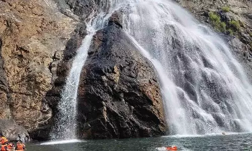 50 moved to safer place after 80 get stuck at Goa waterfall; operation underway to rescue the rest