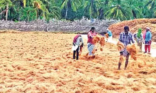 Pollachis troubled coir industry seeks state aid to make value-added products