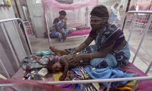 Rising dengue cases: Karnataka govt. issues directive to gram panchayats to implement protocols