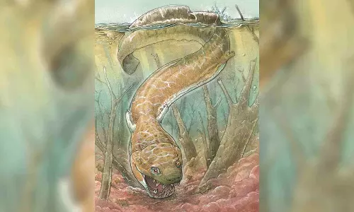This Bigheaded Fossil Turned Up in a Place No One Expected to Find It