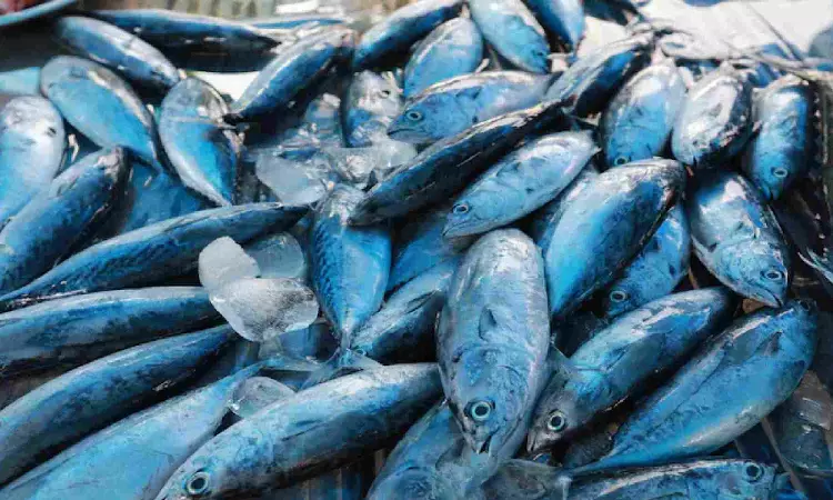 Centre to launch 125-plus fisheries projects worth over Rs 100cr in Tamil Nadu on Friday