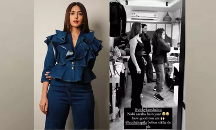 Mrunal Thakur gives up trying to recreate Vickys hook steps from Tauba Tauba