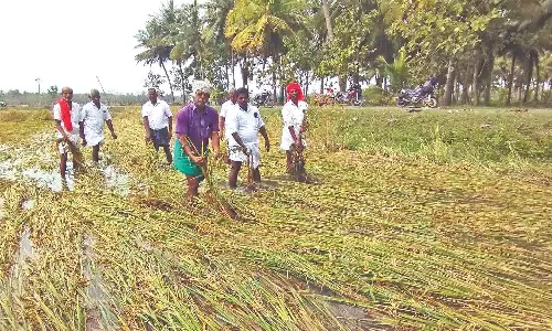 Exclusive agriculture budget need of the hour: Tamil Nadu farmers