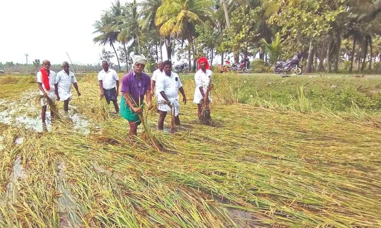 Exclusive agriculture budget need of the hour: Tamil Nadu farmers