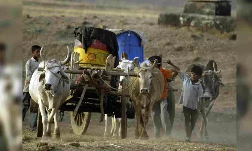 Current international poverty line misleading: Study