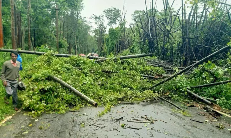 Fallen trees pose major hurdle in Nilgiris, result in halt of traffic movement