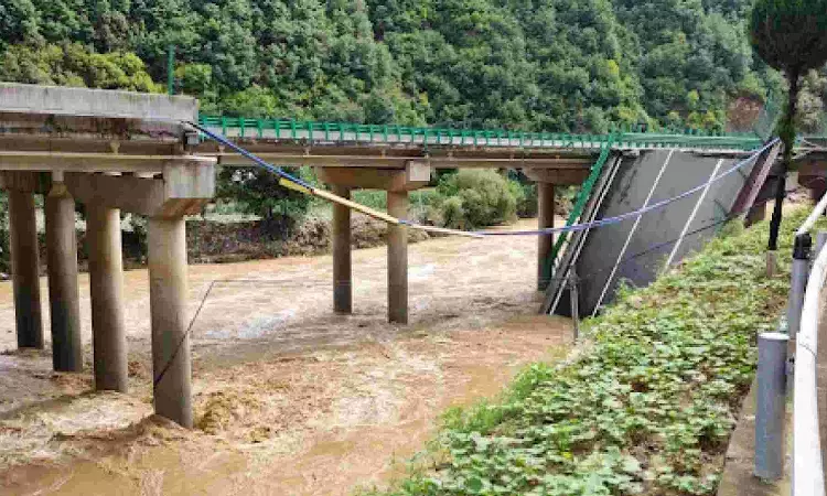 11 dead as bridge collapses in northwest China; Rescue operations underway