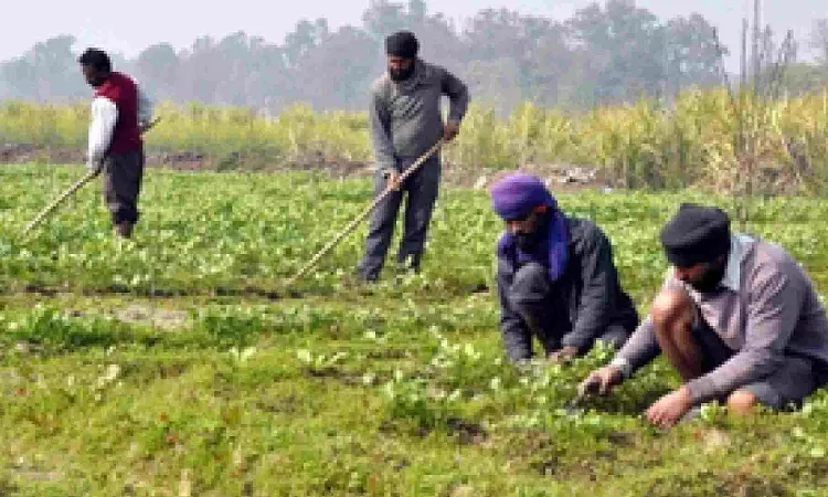 Farm sector gets boost as Agri Infra Fund mobilises Rs 73,194 crore: Eco Survey Farm sector gets boost as Agri Infra Fund mobilises Rs 73,194 crore: Eco Survey