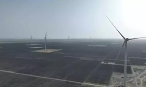 Adani Green Energys cash profit surges 32 pc to Rs 1,390 crore in Q1 FY25, revenue up 24 pc