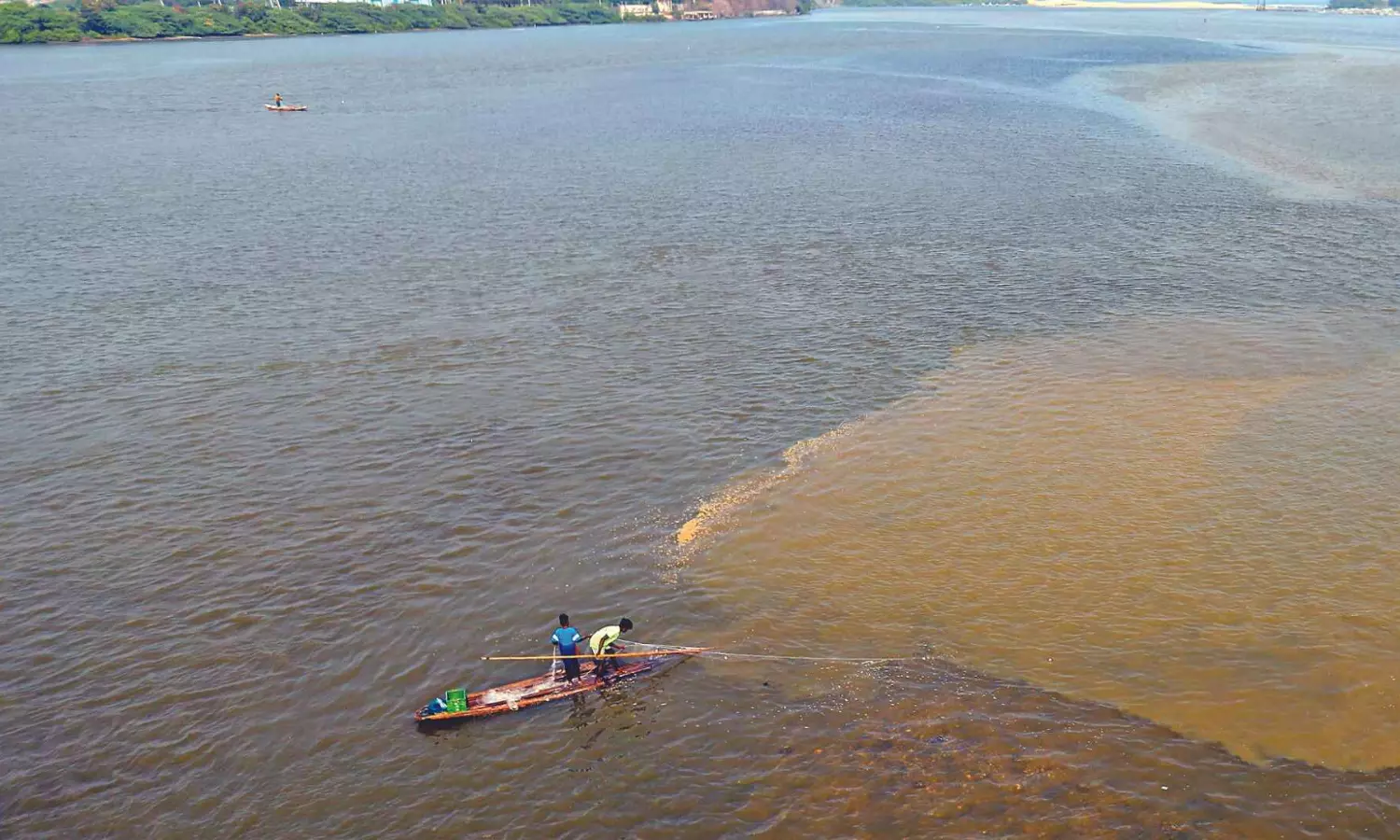 WRD seeks Rs 160 crore from Ennore port to remove invasive Charru Musse