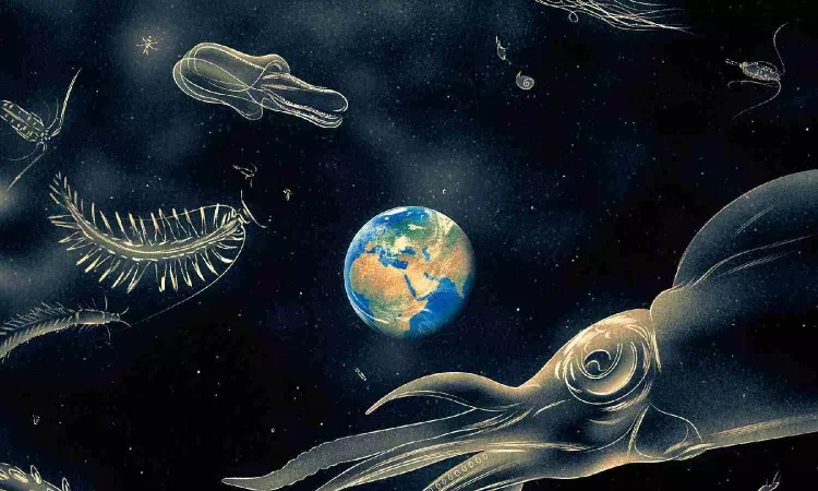 There’s a New Reason to Save Life in the Deep Ocean