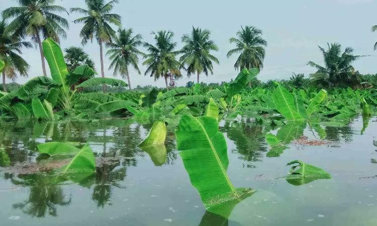 Inundation: Hundreds moved to relief camps