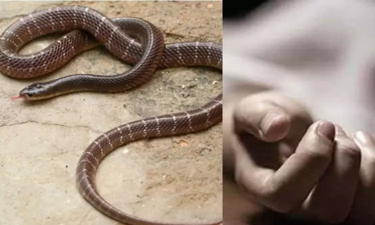 Coimbatore: Snake handler gets bitten by reptile during rescue bid, dies