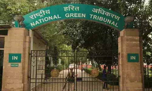 Expedite works to curb sewage flow into Thenpennai, NGT tells Karnataka Expedite works to curb sewage flow into Thenpennai, NGT tells Karnataka