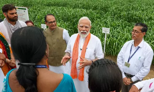 PM Modi releases climate-resilient seed varieties to increase productivity, farmers income