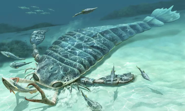 Fossils Show: Giant Predatory Sea Scorpions Were Distance Swimmers Fossils Show: Giant Predatory Sea Scorpions Were Distance Swimmers