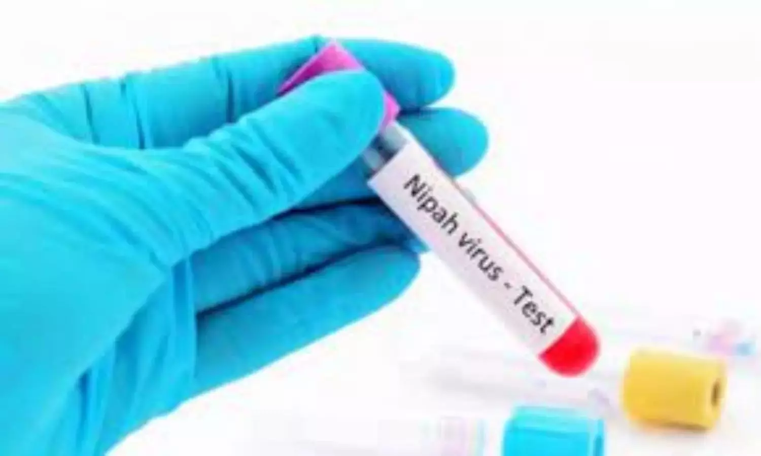 Kerala contains Nipah outbreak: 472 people cleared, Restrictions lifted