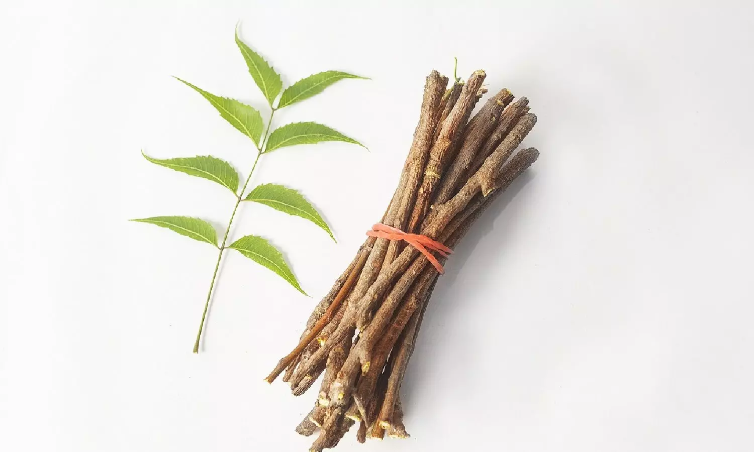DT Health: Understanding pros & cons of neem stick vs toothbrush