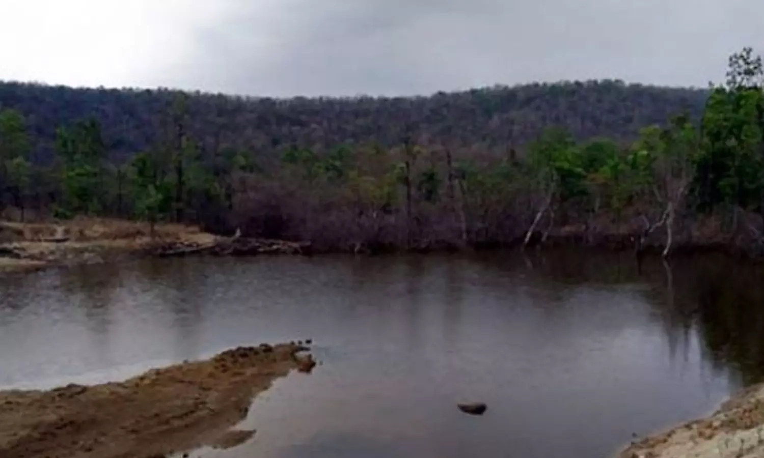 Release more water to fill waterbodies: TN farmers