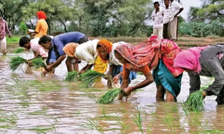 India sees healthy 8 pc increase in overall rainfall, positive for inflation outlook