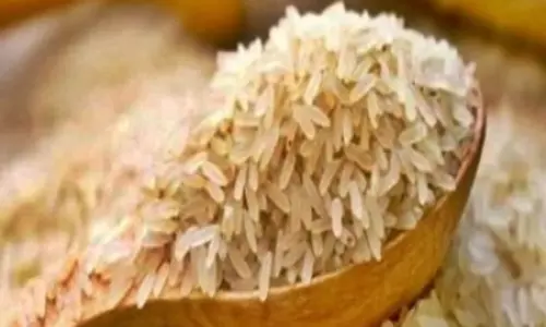 Indian basmati industry’s sales to grow 4 pc to hit record Rs 70,000 cr in FY25