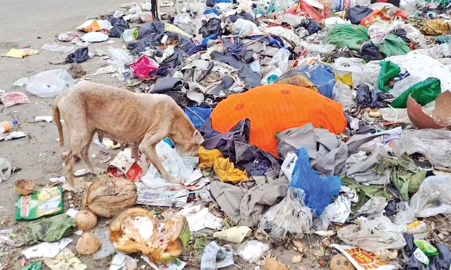 Chennai Citizen Connect: Garbage dumped on NH irks Singaperumal Koil commuters