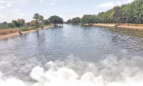 The canal that turned southern Thanjavurs parched land into fertile farms