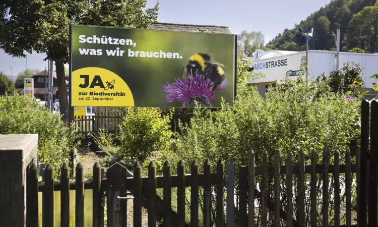 Birds, bees and ballots: Swiss voters reject plan to better protect the country’s biodiversity Birds, bees and ballots: Swiss voters reject plan to better protect the country’s biodiversity