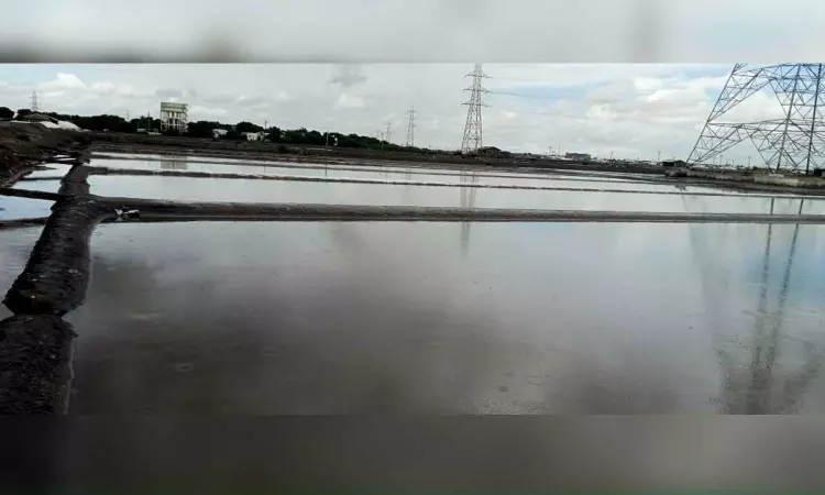 Rain brings salt pans to halt in Thoothukudi