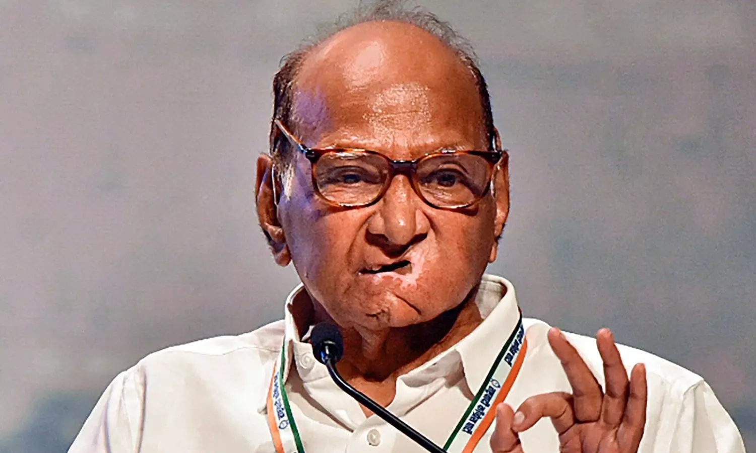Mamata is a capable leader, says Pawar on her willingness to head INDIA bloc