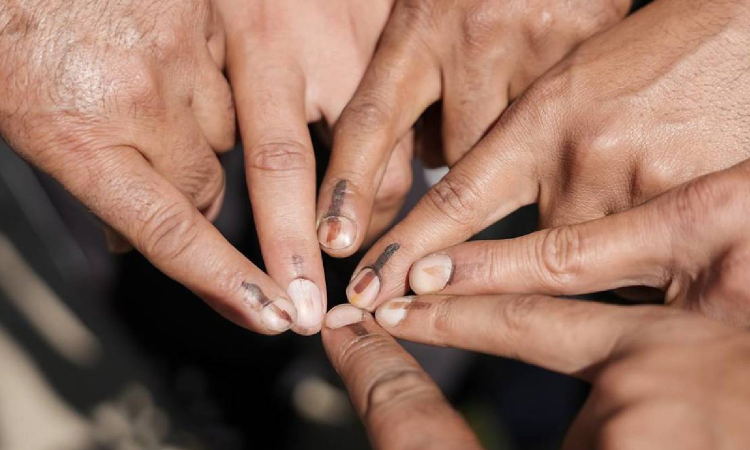 Why must we vote so often?
