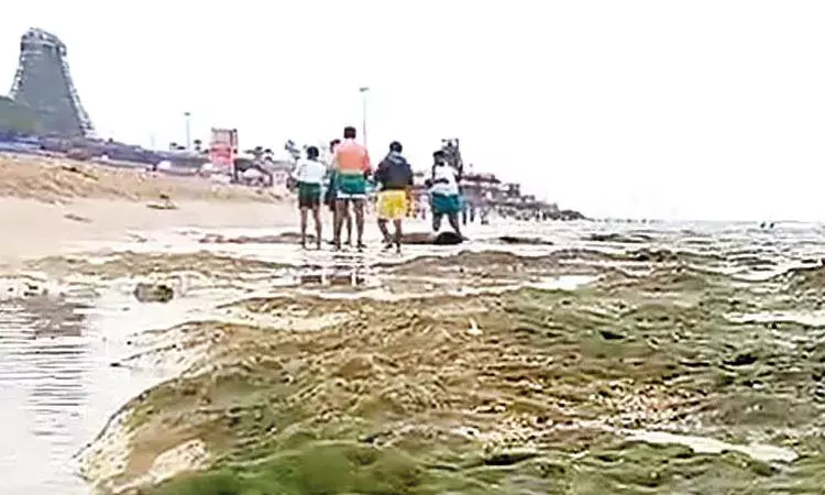 Ahead of Amavasai, sea recedes by around 50 feet in Tiruchendur