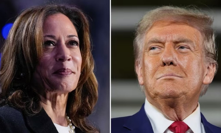 US Election: Polls aggregation changes giving Harris miniscule lead US Election: Polls aggregation changes giving Harris miniscule lead