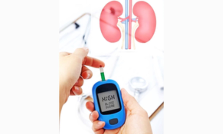 Kidney disease, diabetes may raise heart disease risk 28 years earlier Kidney disease, diabetes may raise heart disease risk 28 years earlier