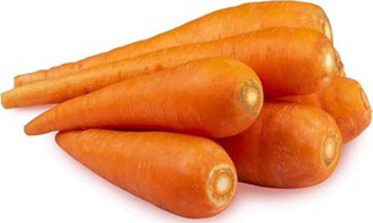 Tamil Nadu to import high-yield carrot seeds from the US