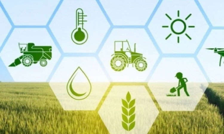 19 agritech soonicorns, 40 minicorns embracing emerging tech for biz growth: RBI paper 19 agritech soonicorns, 40 minicorns embracing emerging tech for biz growth: RBI paper