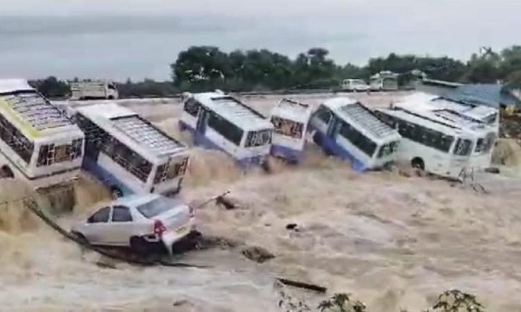 Watch: Cyclone Fengals 50 cm rainfall washes away cars, vans in Krishnagiri