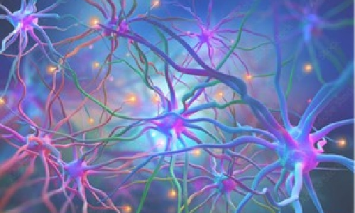 Common heart drug shows promise for Huntingtons disease