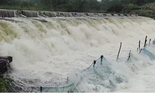 Water release from Chembarambakkam reservoir increased to 4,500 cusecs