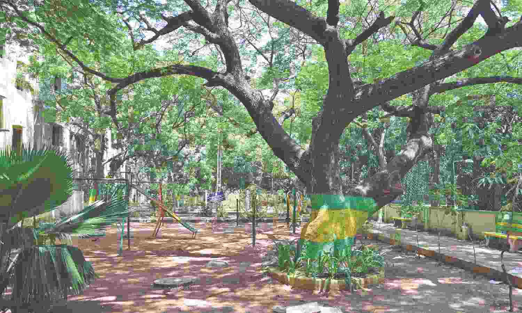 GCC to spend Rs 46 crore to restore, maintain over 500 Chennai parks GCC to spend Rs 46 crore to restore, maintain over 500 Chennai parks