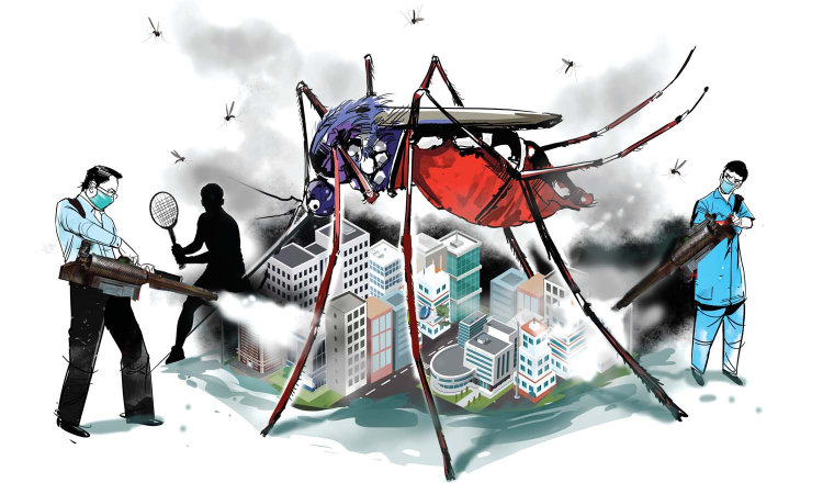 Chennai Corporations mosquito control drive under way Chennai Corporations mosquito control drive under way