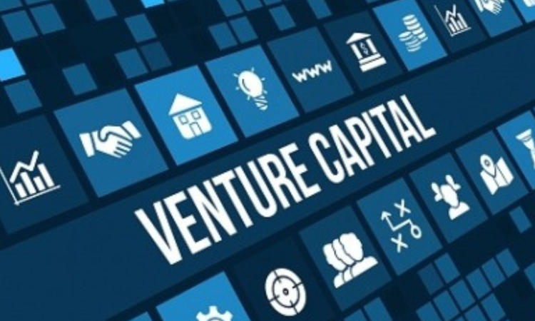 Venture Capital investments in India surge to $16.8 bn in January-November: Report