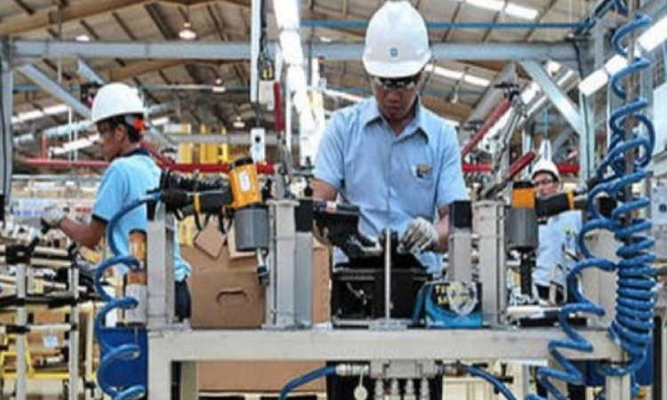 Industrial output grows 5.2 pc in November