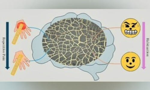 Indian scientists develop wearable devices that can detect stress