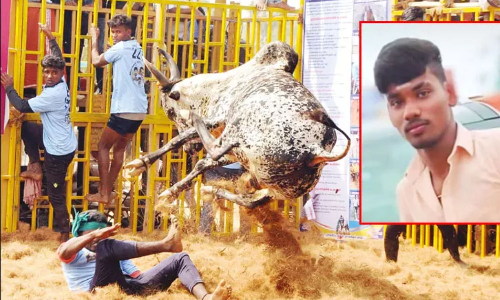Youth dies after bull gores his throat in Kumarapalayam jallikattu
