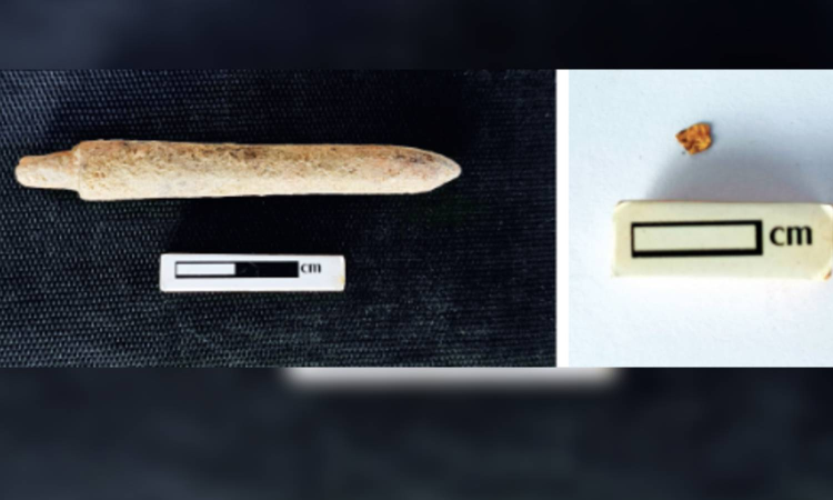 Bone point, gold piece found at Porpanaikottai excavation site Bone point, gold piece found at Porpanaikottai excavation site