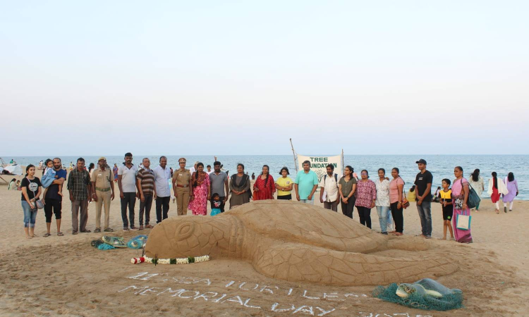 Homage to dead sea turtles held in Neelankarai beach Homage to dead sea turtles held in Neelankarai beach