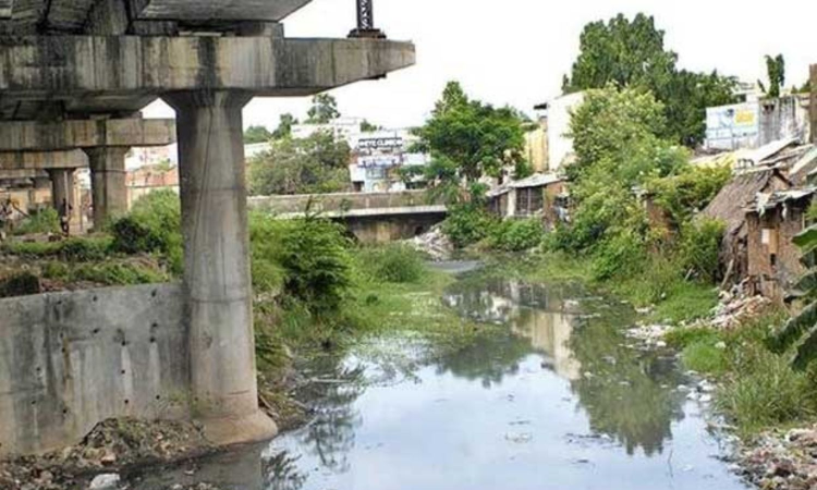 NGT asks Chennai Corporation to submit proposal to curb garbage in Buckingham Canal NGT asks Chennai Corporation to submit proposal to curb garbage in Buckingham Canal