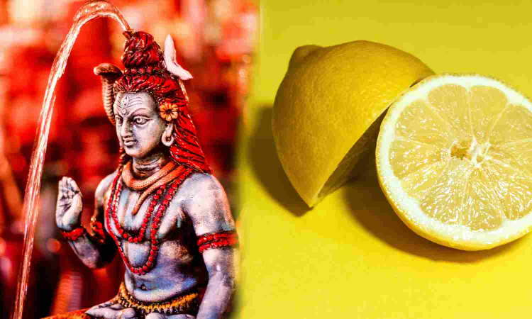 Sacred lemon fetches Rs 13,000 in Tamil Nadu temple auction Sacred lemon fetches Rs 13,000 in Tamil Nadu temple auction